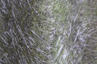 Llanover fibreglass roof work